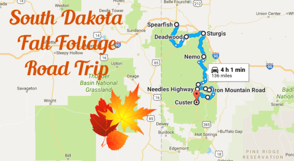 This Dreamy Road Trip Will Take You To The Best Fall Foliage In All Of South Dakota