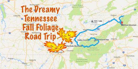 This Dreamy Road Trip Will Take You To The Best Fall Foliage In All Of Tennessee