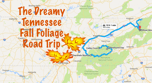 This Dreamy Road Trip Will Take You To The Best Fall Foliage In All Of Tennessee