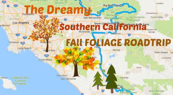 This Dreamy Road Trip Will Take You To The Best Fall Foliage In All Of Southern California