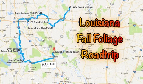 This Dreamy Road Trip Will Take You To The Best Fall Foliage In All Of Louisiana