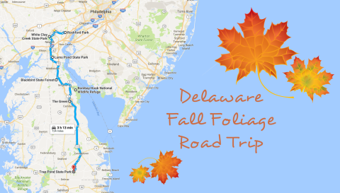 This Dreamy Road Trip Will Take You To The Best Fall Foliage In All Of Delaware