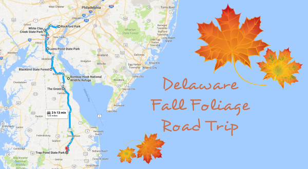 This Dreamy Road Trip Will Take You To The Best Fall Foliage In All Of Delaware