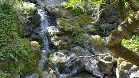 The Hike Near San Francisco That Takes You To Not One, But TWO Beautiful Waterfalls