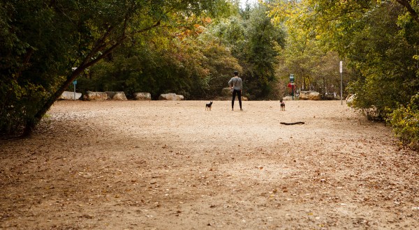 The Overlooked Park In Austin You should Visit Before It’s Too Popular