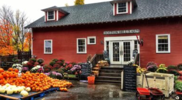 These 8 Charming Apple Orchards Near Boston Are Picture Perfect For A Fall Day