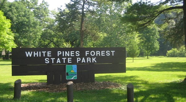 Everyone In Illinois Should Visit This Majestic State Park