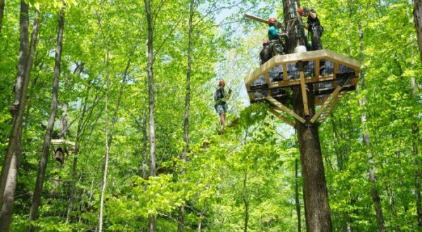6 Amazing Treetop Adventures You Can Only Have In Massachusetts