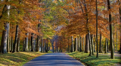 The Best Times And Places To View Fall Foliage In Maryland