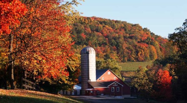 This Little Town Near DC is The Best Place To Visit In The Fall