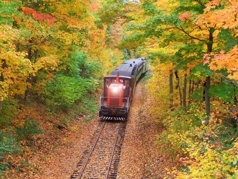 Eight Picture Perfect Fall Day Trips to Take in Connecticut