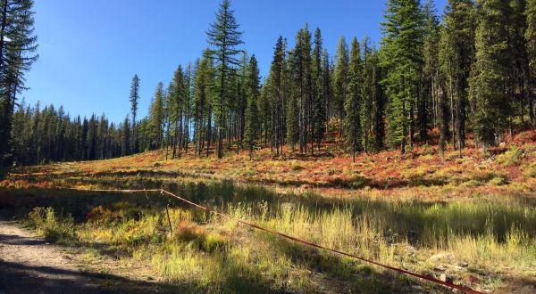 The One Hikeable Lake In Idaho That’s Simply Breathtaking In The Fall
