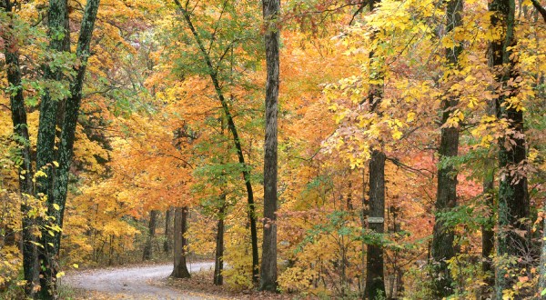 The Best Times And Places To View Fall Foliage In Missouri