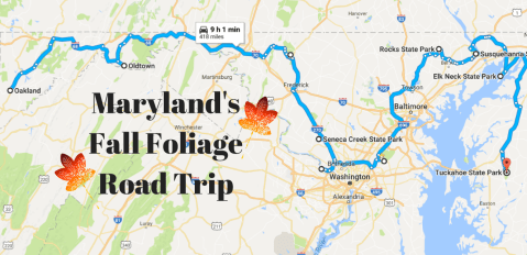 This Dreamy Road Trip Will Take You To The Best Fall Foliage In All Of Maryland