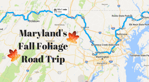 This Dreamy Road Trip Will Take You To The Best Fall Foliage In All Of Maryland