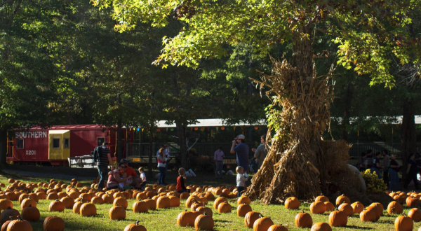 The Pumpkin Patch Train Ride In Alabama That’s Perfect For A Fall Day