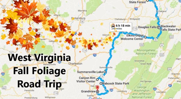 This Dreamy Road Trip Will Take You To The Best Fall Foliage In All Of West Virginia