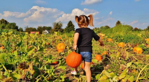 10 Harvest Festivals In New Jersey That Will Make Your Autumn Awesome
