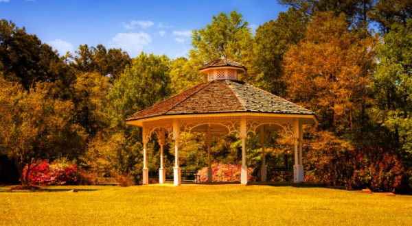 The Best Times And Places To View Fall Foliage In Alabama