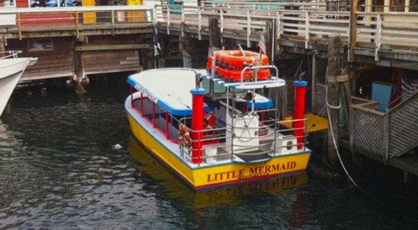 The Amazing Glass-Bottomed Boat In Northern California Will Bring Out The Adventurer In You
