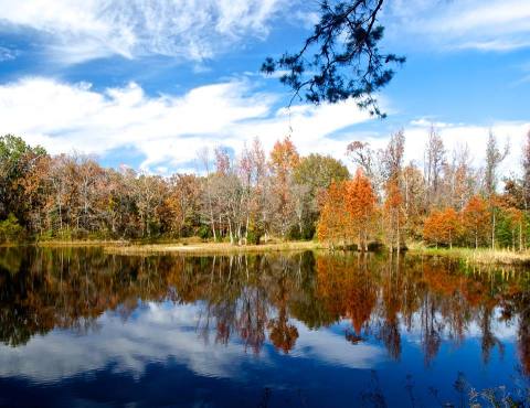The One Hikeable Lake In Texas That's Simply Breathtaking In The Fall
