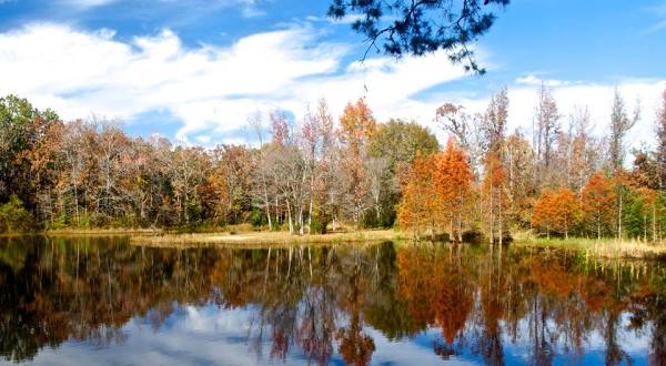 The One Hikeable Lake In Texas That’s Simply Breathtaking In The Fall