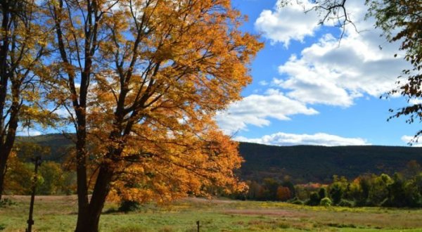 The Hidden Restaurant In New Jersey That’s Surrounded By The Most Breathtaking Fall Colors