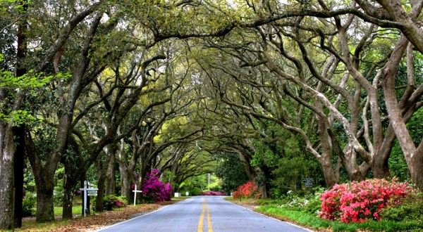 Visit The Prettiest Town In Alabama For An Unforgettable Experience