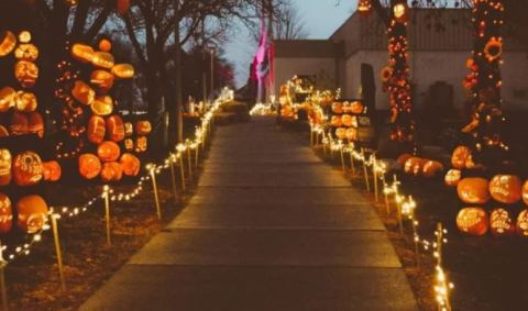 The Magical Pumpkin Festival In Minnesota That Will Get You Excited About Fall