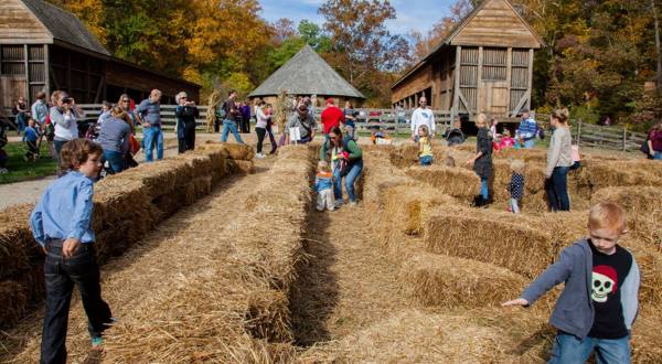 8 Harvest Festivals Around Washington DC That Will Make Your Autumn Awesome