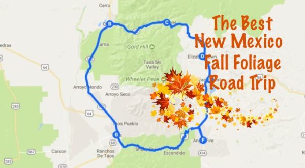 This Dreamy Road Trip Will Take You To The Best Fall Foliage In All of New Mexico
