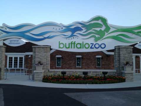 Buffalo's Zoo Is One Of The Oldest In The U.S. Here's What Makes It Timeless