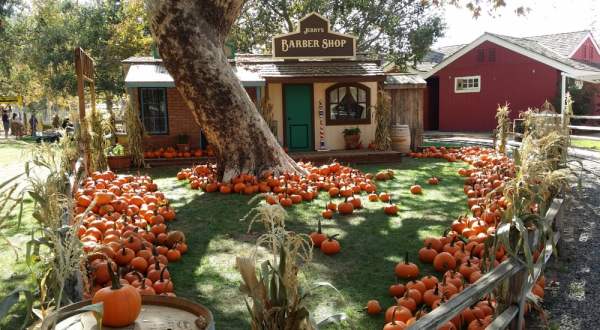 Southern California’s Pumpkin Patch Train Ride Is A Great Way To Spend A Fall Day