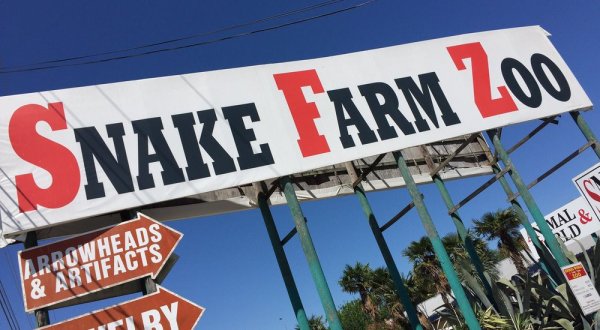 This Roadside Attraction Near Austin Is The Most Unique Thing You’ve Ever Seen