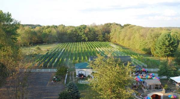 The Little Known Vineyard Near Cincinnati That’s Perfect For A Fall Day