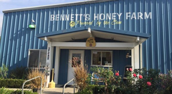 The Delightful Honey Farm In Southern California That Everyone Should Experience At Least Once