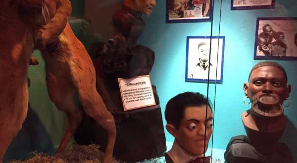 Ripley’s Odditorium Museum In Dallas – Fort Worth Is Not For The Faint Of Heart