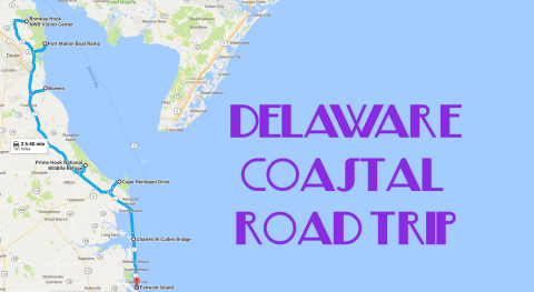 This 101-Mile Drive Is the Best Way to See Delaware's Stunning Coast