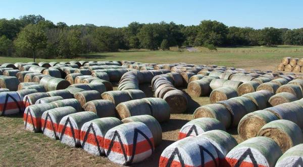 A Visit To Oklahoma’s Largest Hay Maze Is The Perfect Way To Spend A Fall Day