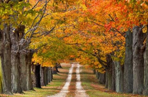 The One Town Near Boston Everyone Must Visit This Fall