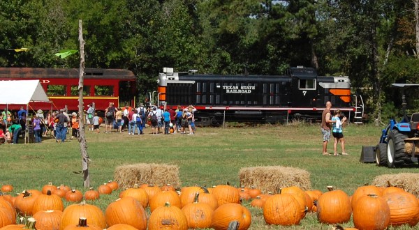 The Pumpkin Patch Train Ride In Texas That’s Perfect For A Fall Day