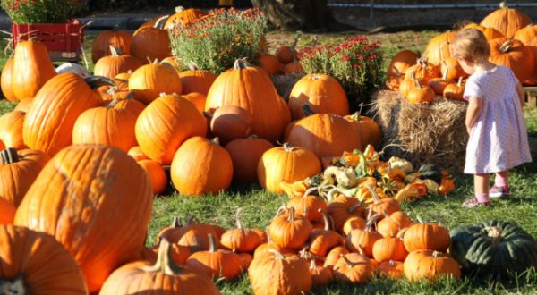 8 Fall Festivals In Kansas That Will Make Your Autumn Awesome