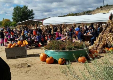 7 Harvest Festivals In New Mexico That Will Make Your Autumn Awesome