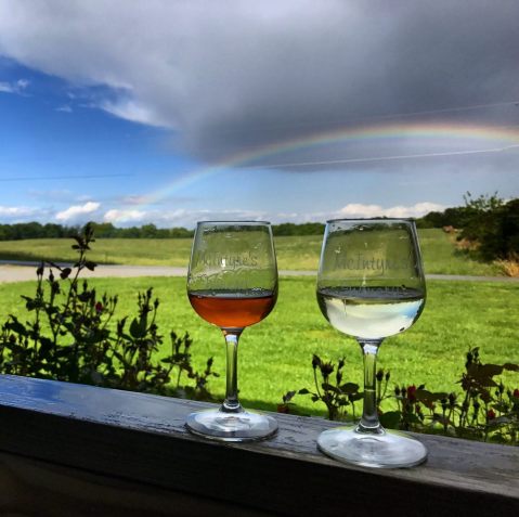 The 9 Most Beautiful Wineries Near Louisville