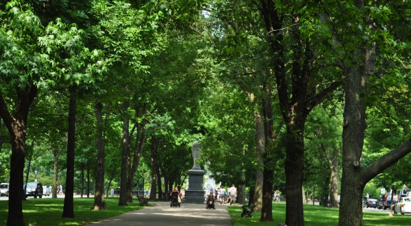 Boston’s Tunnel Of Trees Is Positively Magical And You Need To Visit