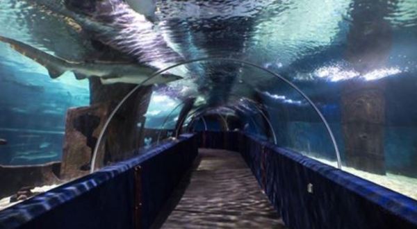 This Underwater Tunnel In Cleveland Will Enchant You In The Best Possible Way