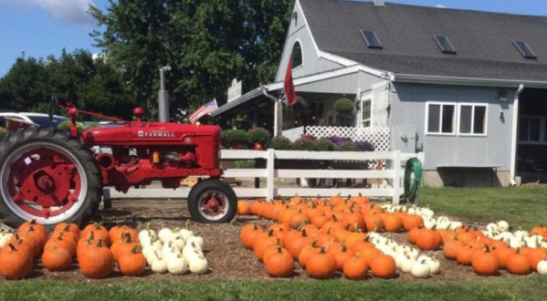 These 8 Charming Pumpkin Patches In Connecticut Are Picture Perfect For A Fall Day