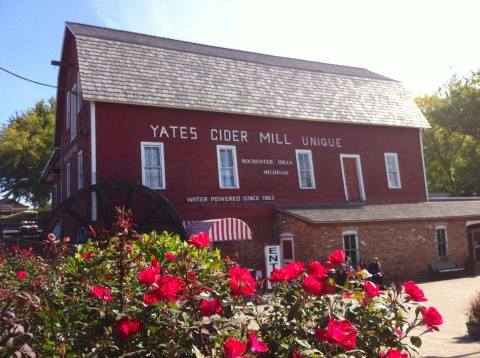 These 6 Charming Cider Mills Around Detroit Will Make Your Fall Complete