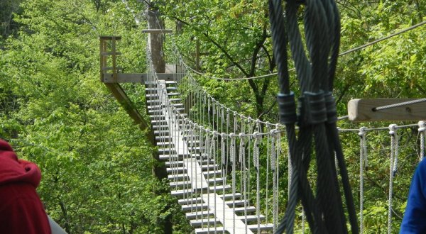 This Canopy Walk Near Chicago Will Make Your Stomach Drop