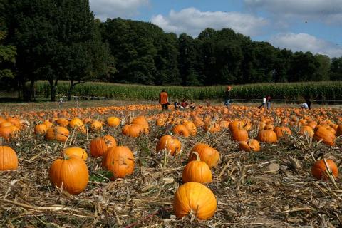 It's Not Fall Until You Visit The Largest Pumpkin Farm In Pennsylvania